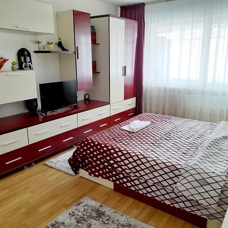 Apartament Alex Apartment Târgu Ocna Exterior foto